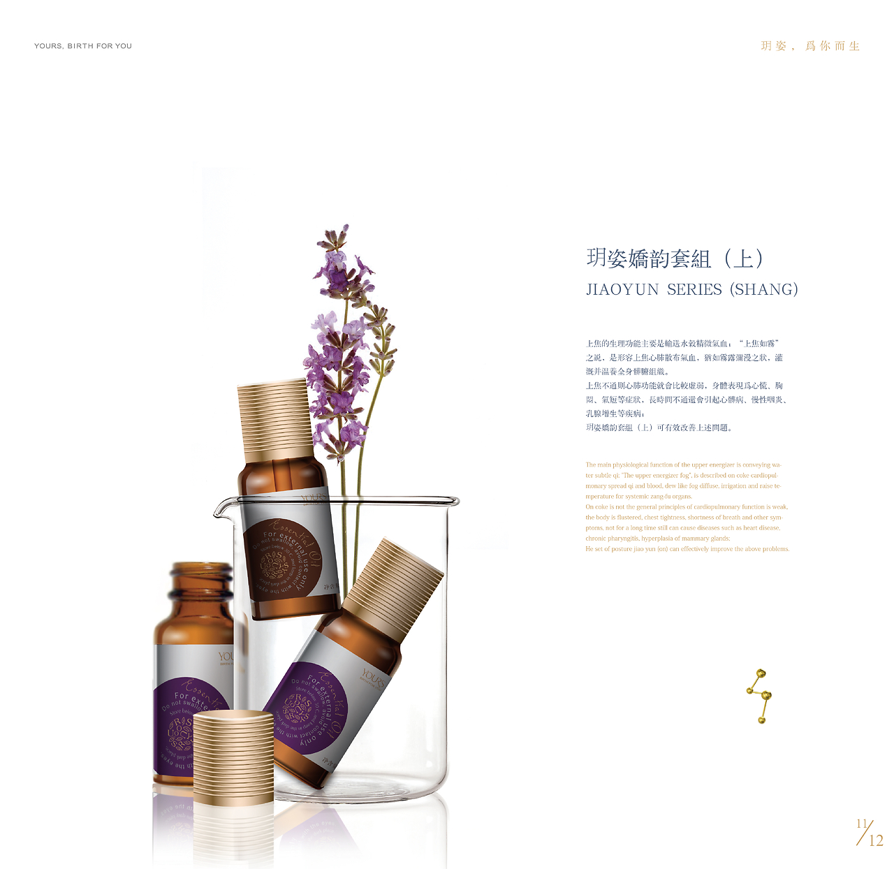 美容养生产品画册